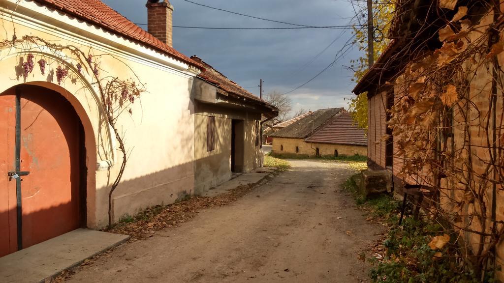 Country House Dunjin Konak Rogljevo Εξωτερικό φωτογραφία