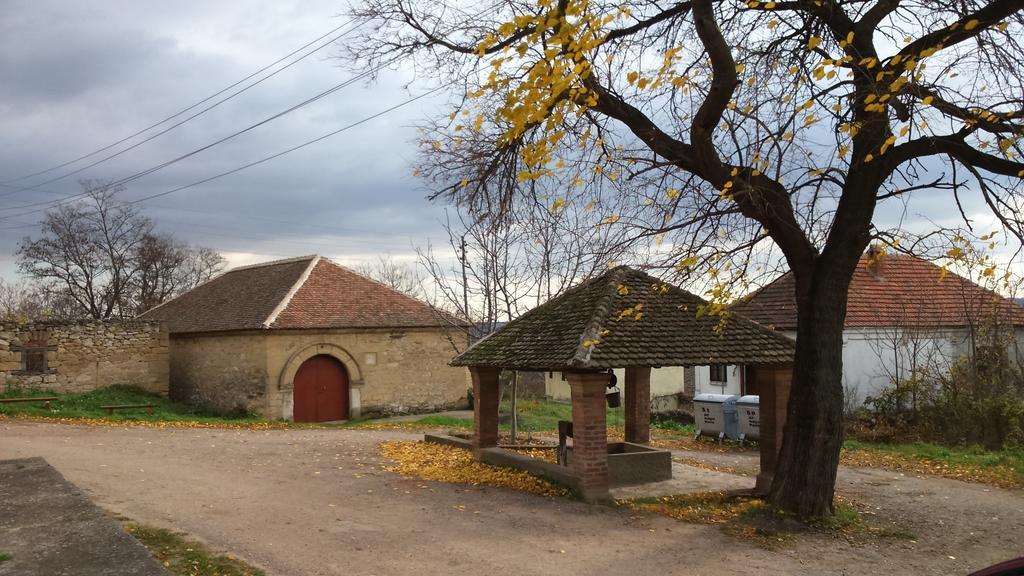 Country House Dunjin Konak Rogljevo Εξωτερικό φωτογραφία