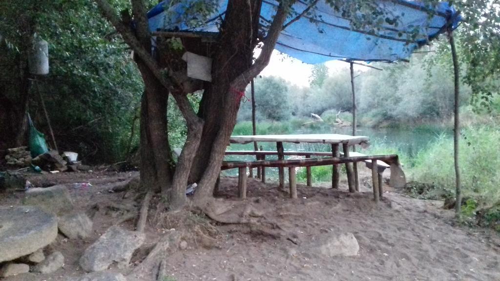 Country House Dunjin Konak Rogljevo Εξωτερικό φωτογραφία