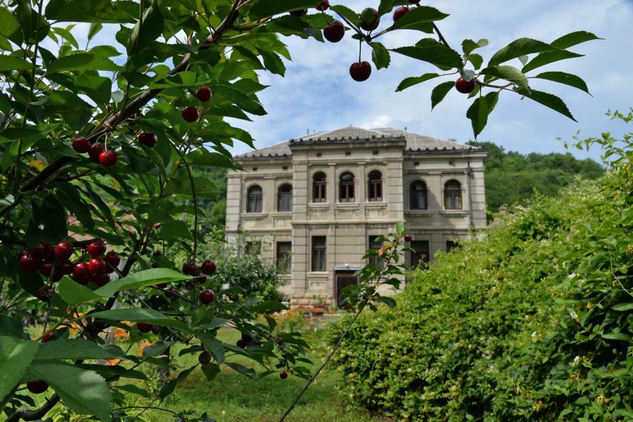 Country House Dunjin Konak Rogljevo Εξωτερικό φωτογραφία