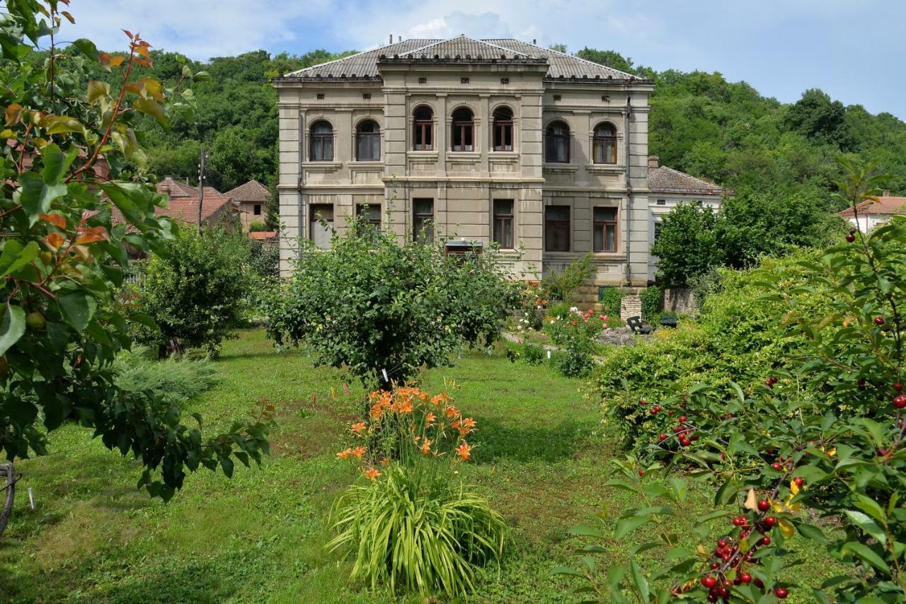 Country House Dunjin Konak Rogljevo Εξωτερικό φωτογραφία
