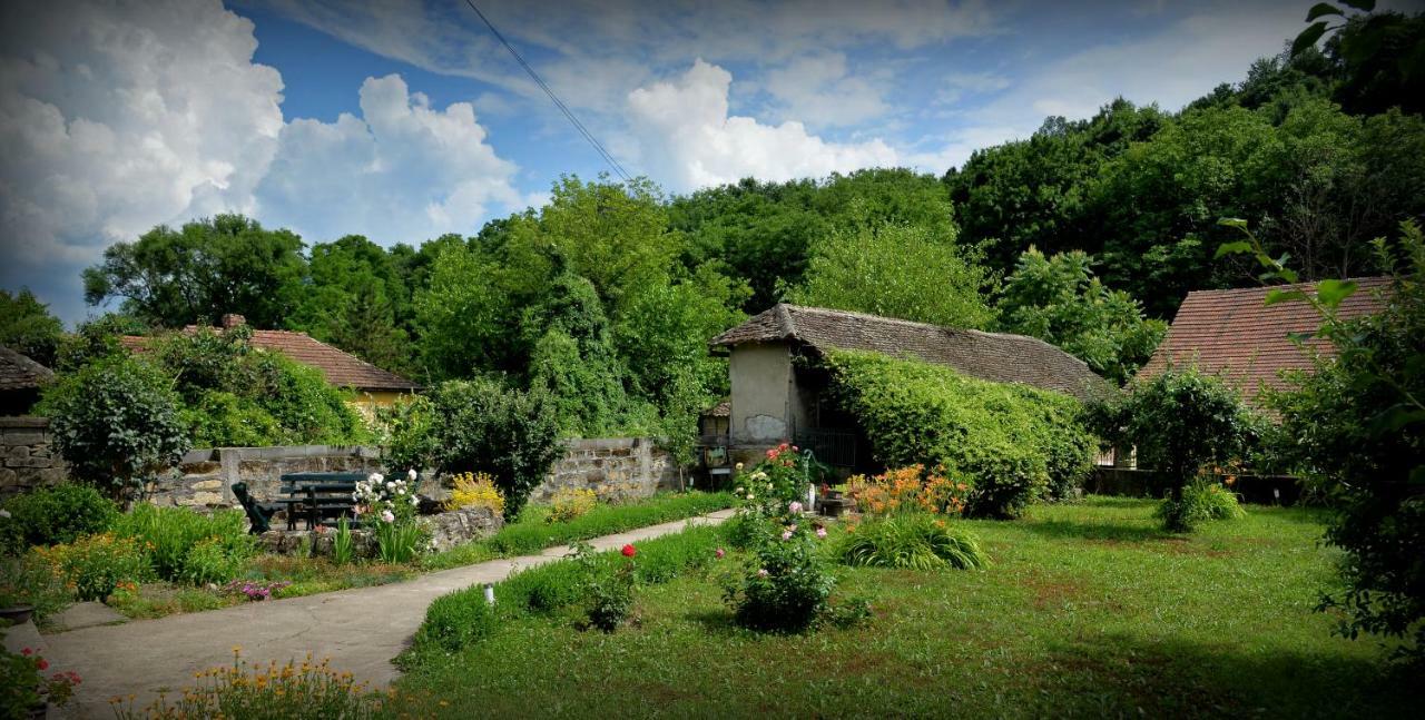 Country House Dunjin Konak Rogljevo Εξωτερικό φωτογραφία