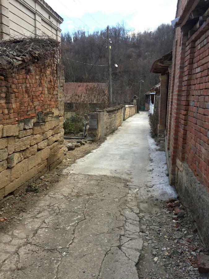 Country House Dunjin Konak Rogljevo Εξωτερικό φωτογραφία